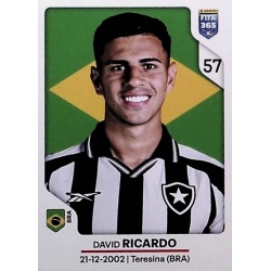 David Ricardo Botafogo 49