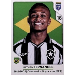 Nathan Fernandes Botafogo 56