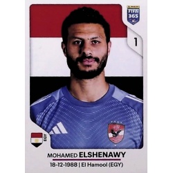 Mohamed El Shenawy Al Ahly SC 63