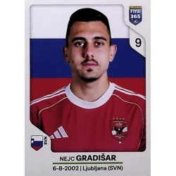 Nejc Gradišar Al Ahly SC 79