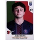 João Neves PSG 163