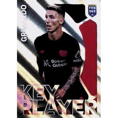 Alejandro Grimaldo Key Player Bayer 04 Leverkusen 183