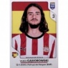 Comprar Cromos Yarek Gasiorowski PSV Eindhoven Stickers Fifa 365 2026