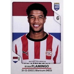 Ryan Flamingo PSV Eindhoven 335