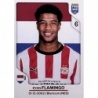 Venta Cromos Ryan Flamingo PSV Eindhoven Panini FIFA 365 2026