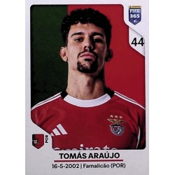 Tomas Araujo SL Benfica 371