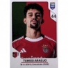 Venta Online Tomas Araujo SL Benfica Panini Fifa 365 Cromos 2026
