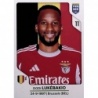Comprar Online Dodi Lukebakio SL Benfica Panini FIFA 365 2026