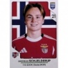 Comprar Cromos Andreas Schjelderup SL Benfica Cromos Panini Fifa 365 2026