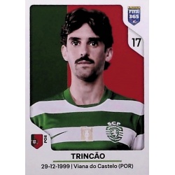 Trincão Sporting Club 421