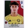 Venta Online João Félix Al-Nassr FC Cromos Panini Fifa 365 2026