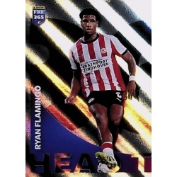 Ryan Flamingo Game of Styles 475