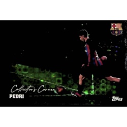 Pedri Halo Collector's Corner 38