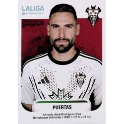 Puertas Albacete 16