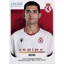 Bicho Cultural Leonesa 164