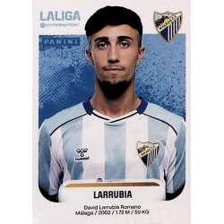 Larrubia Málaga 301