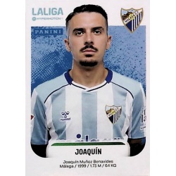 Joaquín Málaga 303