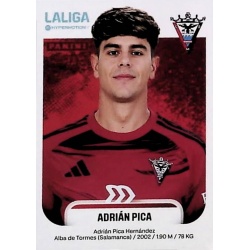 Adrián Pica Mirandés 315A