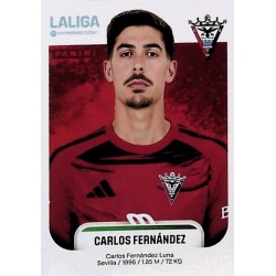 Carlos Fernández Mirandés 321
