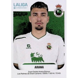 Arana Racing 343