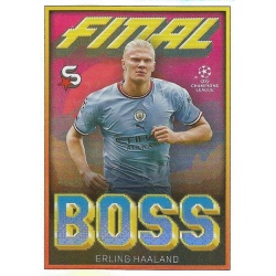 Erling Haaland Final Boss Manchester City FB-EH
