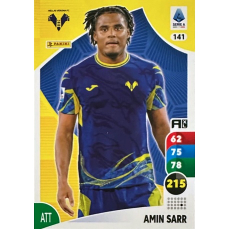 Amin Sarr Hellas Verona 141