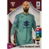 Collect Them Vanja Milinković Savić Torino cards Adrenalyn XL Calciatori 2025-26