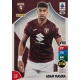 Adam Masina Torino 328