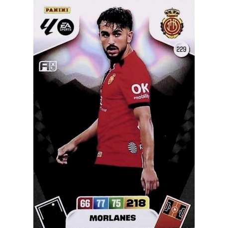 Morlanes Mallorca 229