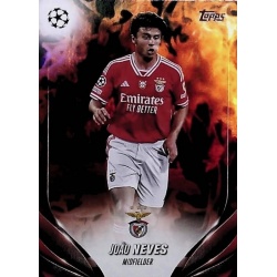 João Neves Inferno SL Benfica 146