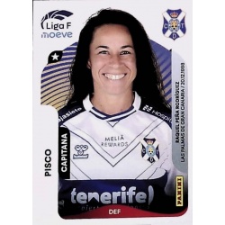 Pisco Costa Adeje Tenerife 111