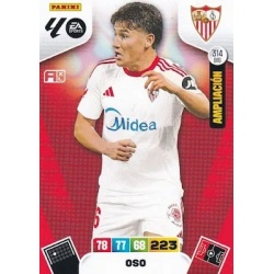 Oso Ampliación Sevilla 314 Bis