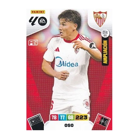 Oso Ampliación Sevilla 314 Bis