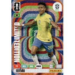 Estevao Limited Edition Brasil