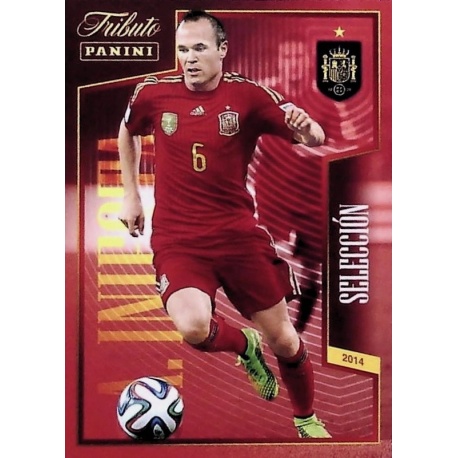 18 El Tercer Mundial 2014