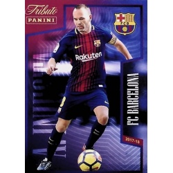 23 El 8 Infinito 2017-18