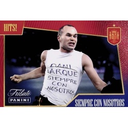 36 Querido Dani Hits!