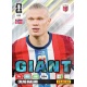 Erling Haaland Giant Noruega 633