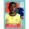 Collect Them Aubrey Modiba South Africa RSA 4 Stickers Panini World Cup 2026