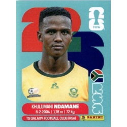 Khulumani Ndamane South Africa RSA 7