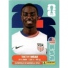 Official Sticker Timothy Weah USA USA 12 Official Panini World Cup 2026 Stickers