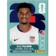 Malik Tillman USA USA 15