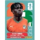 Wilfried Singo Côte d'Ivoire CIV 4