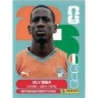 Venta Cromos Mundial Willy Boly Côte d'Ivoire CIV 7 Cromos Mundial 2026