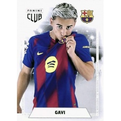 Gavi ADN 22