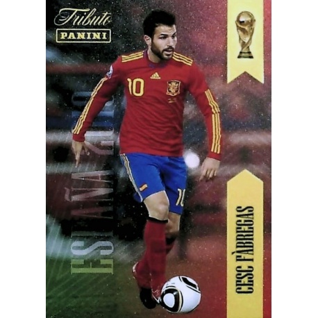 Cesc Tributo Sudáfrica 10