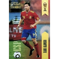 Xabi Alonso Tributo Sudáfrica 14