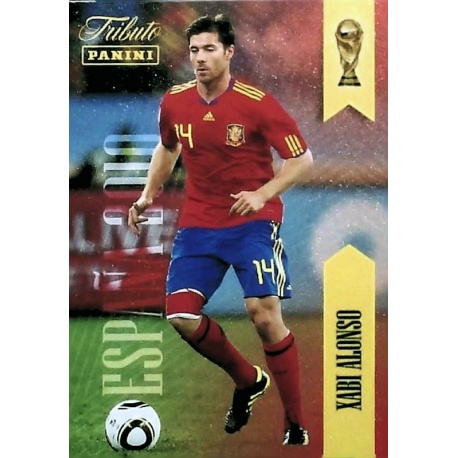Xabi Alonso Tributo Sudáfrica 14