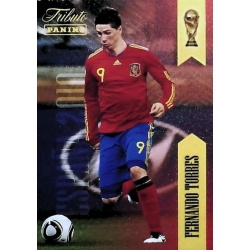 Fernando Torres Tributo Sudáfrica 9