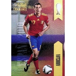 Arbeloa Tributo Sudáfrica 17